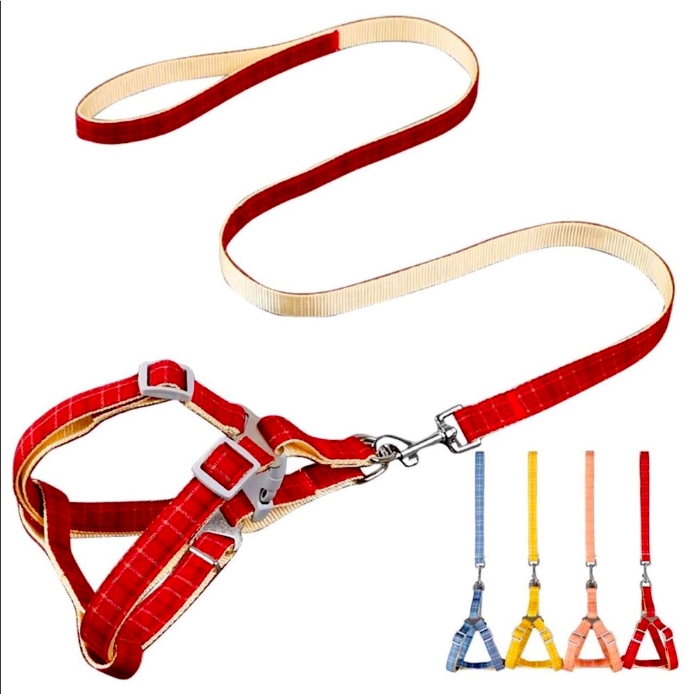 New! Small Pet Harness & Leash Set